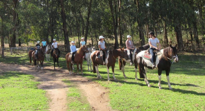 Horse Riding