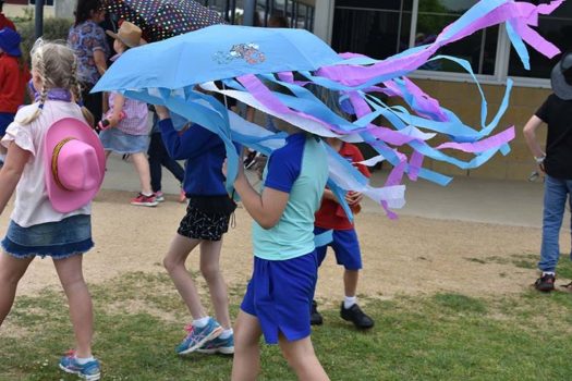 2017 Pf Walkathon 3