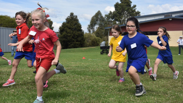 2019 X Country Carnival 10