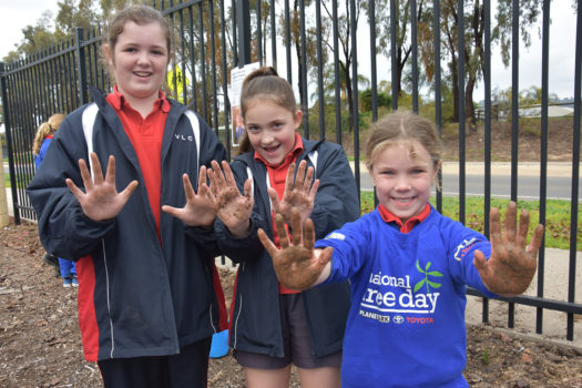 T3 National Tree Day Foundadtion 23