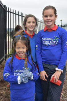 T3 National Tree Day Foundadtion 97