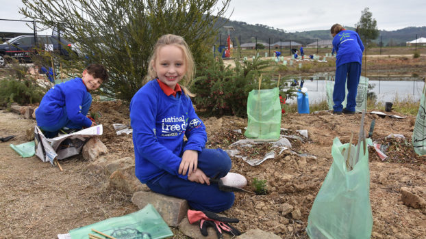 T3 National Tree Day Yr 2 1