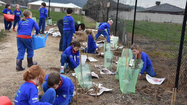 T3 National Tree Day Yr 2 2