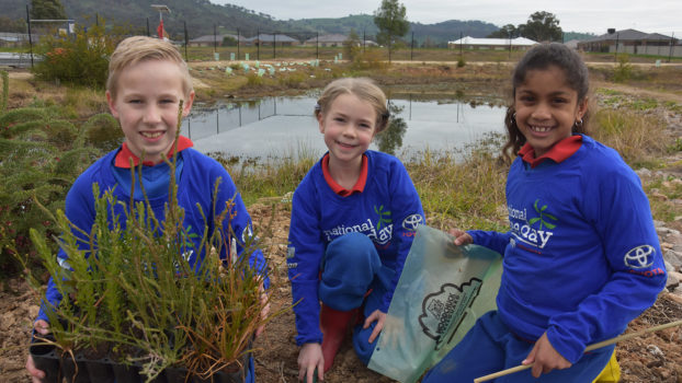 T3 National Tree Day Yr 2 3