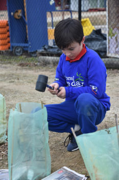 T3 National Tree Day Yr 2 9