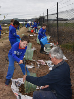 T3 National Tree Day Yr 2 12