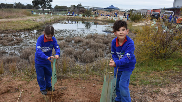 T3 National Tree Day Yr 2 13