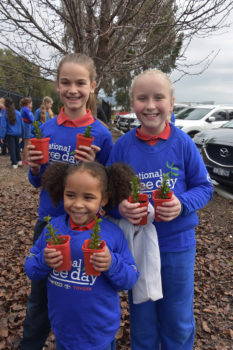 T3 National Tree Day Foundadtion 25
