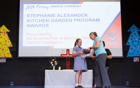 Awards Primary 2019 12