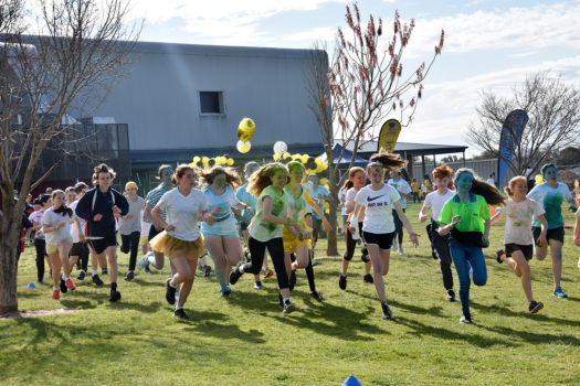 Ruok Day 13