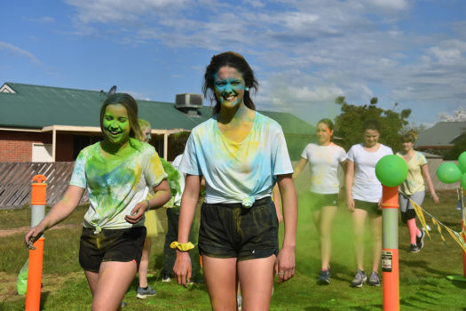 Ruok Day 16