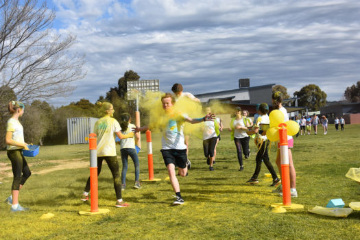 Ruok Day 21
