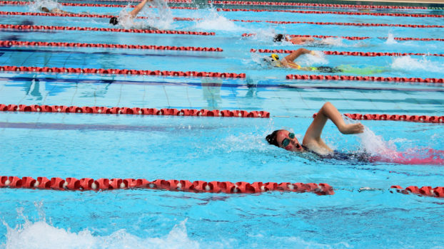 Secondary Swim Carnival 2019 Lwi 151