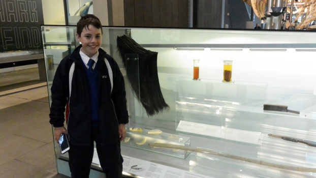 Year 7 Melb Excursion Bmc 14
