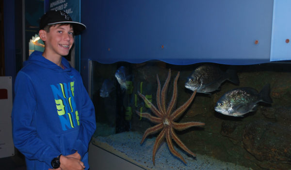 06 Yr 8 Camp Marine Discovery Centre