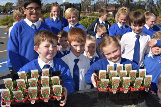 News Nat Tree Day 01