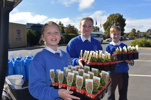 News Nat Tree Day 02