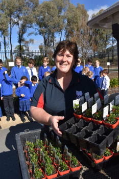 News Nat Tree Day 03