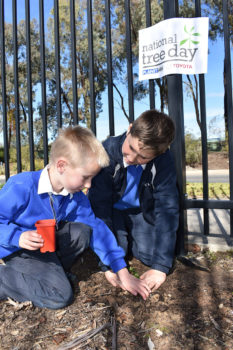 News Nat Tree Day 04