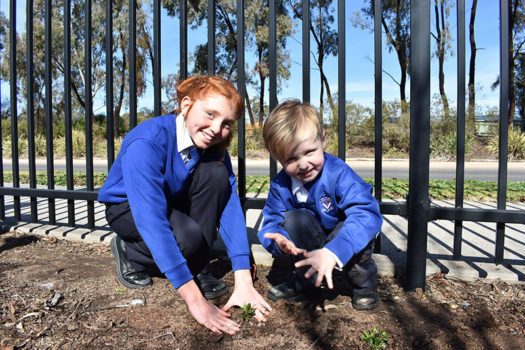 News Nat Tree Day 05