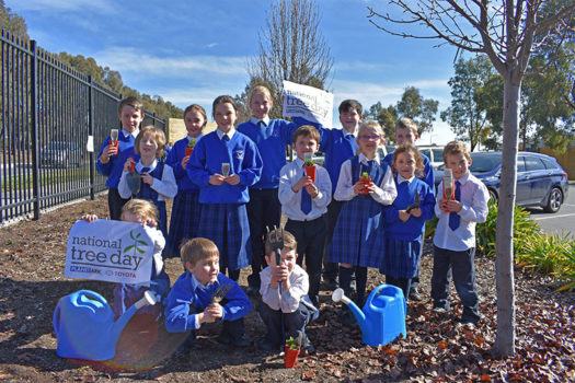 News Nat Tree Day 06