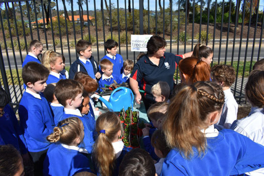 News Nat Tree Day 09