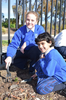 News Nat Tree Day 11