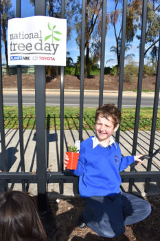 News Nat Tree Day 14
