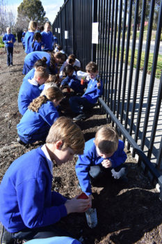 News Nat Tree Day 15