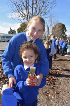 News Nat Tree Day 16