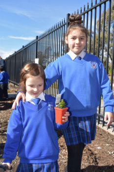 News Nat Tree Day 17