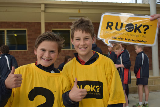 Ruok Day 12