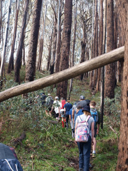Asset Learning Camps Yr Retreat 2