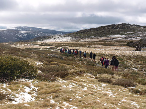 Asset Learning Camps Yr Retreat 4