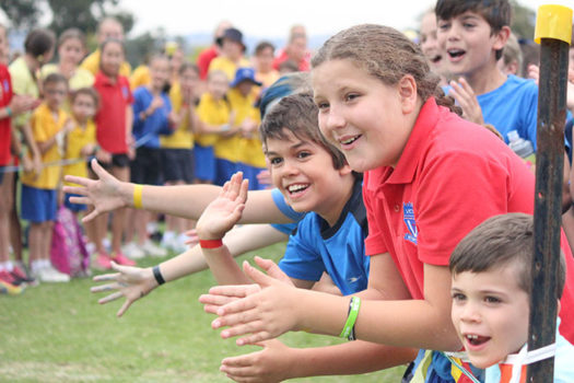 Asset Sport Cross Country 2016