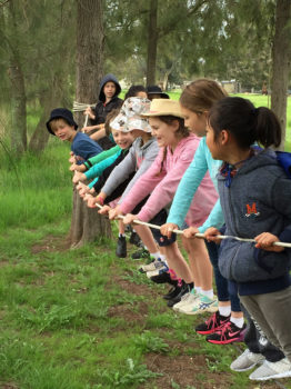 Asset Learning Camp Primary Yr 3 8