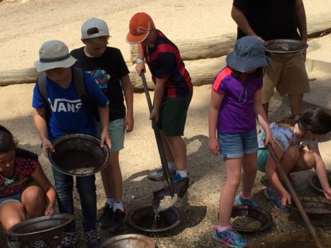 Asset Learning Camp Primary Yr 5 C