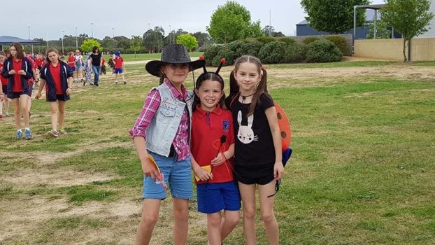2017 Pf Walkathon 19