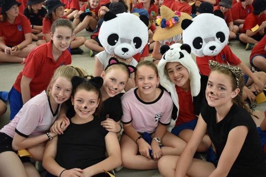 2017 Pf Walkathon 30