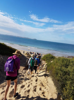 Asset Learning Camps Yr 8 2