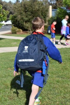 Asset Pf Uniform Bags