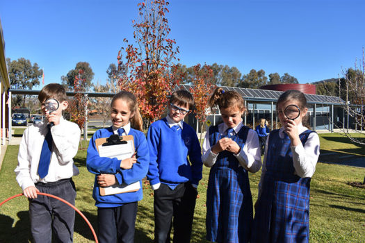 Asset Innovative Curriculum 2