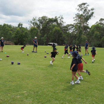 Afl Visit1 400X400