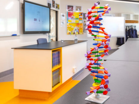 Science 4