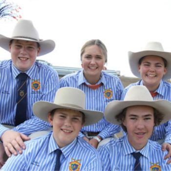 Qcl Ekka Cattle Team1
