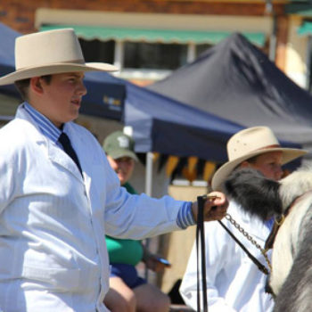 Qcl Ekka Cattle Team3