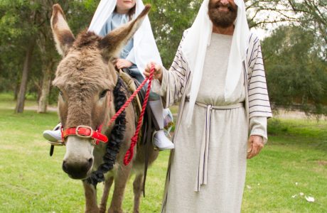 Carols And Nativity 10