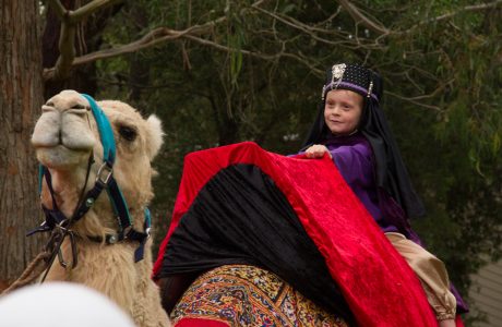 Carols And Nativity 15