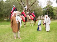 Carols And Nativity 11