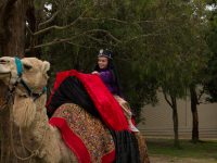 Carols And Nativity 14